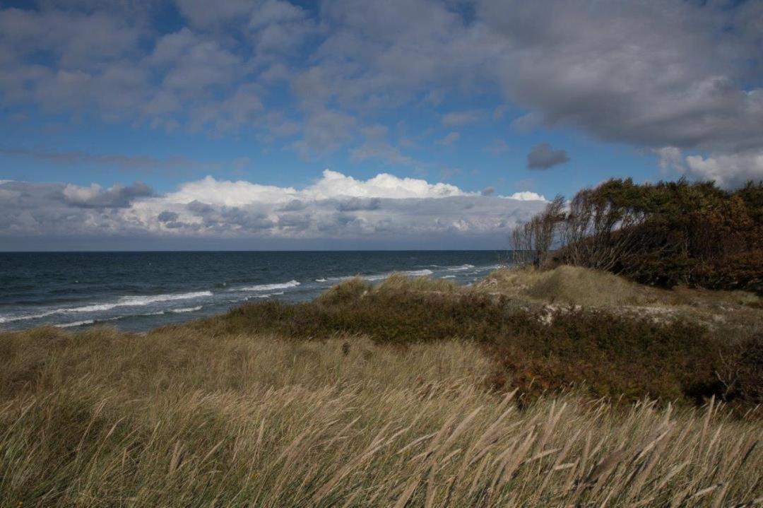 Studio 11 Im Haus Stranddistel, Modernes Studio Im 1 Og Fur 2 Personen In ซิงสท์ ภายนอก รูปภาพ